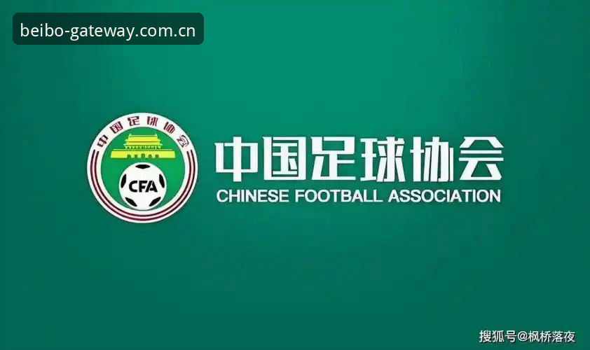 足协第三批禁足名单详解：65人受罚背后的足球生态变革